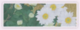 A Sunny Day -Chrysanthemum／2012